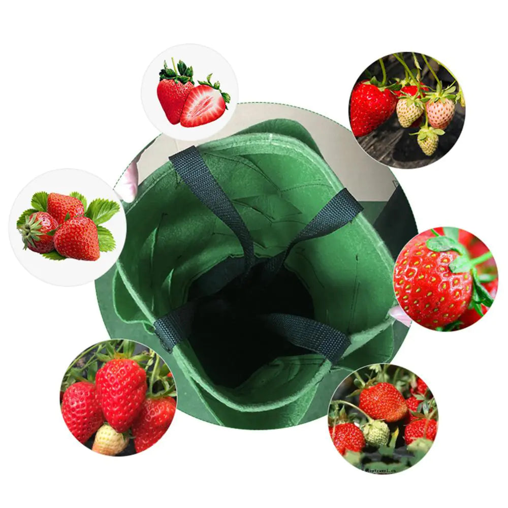 Strawberry Grow Bag Planter for Vegetable Gardens