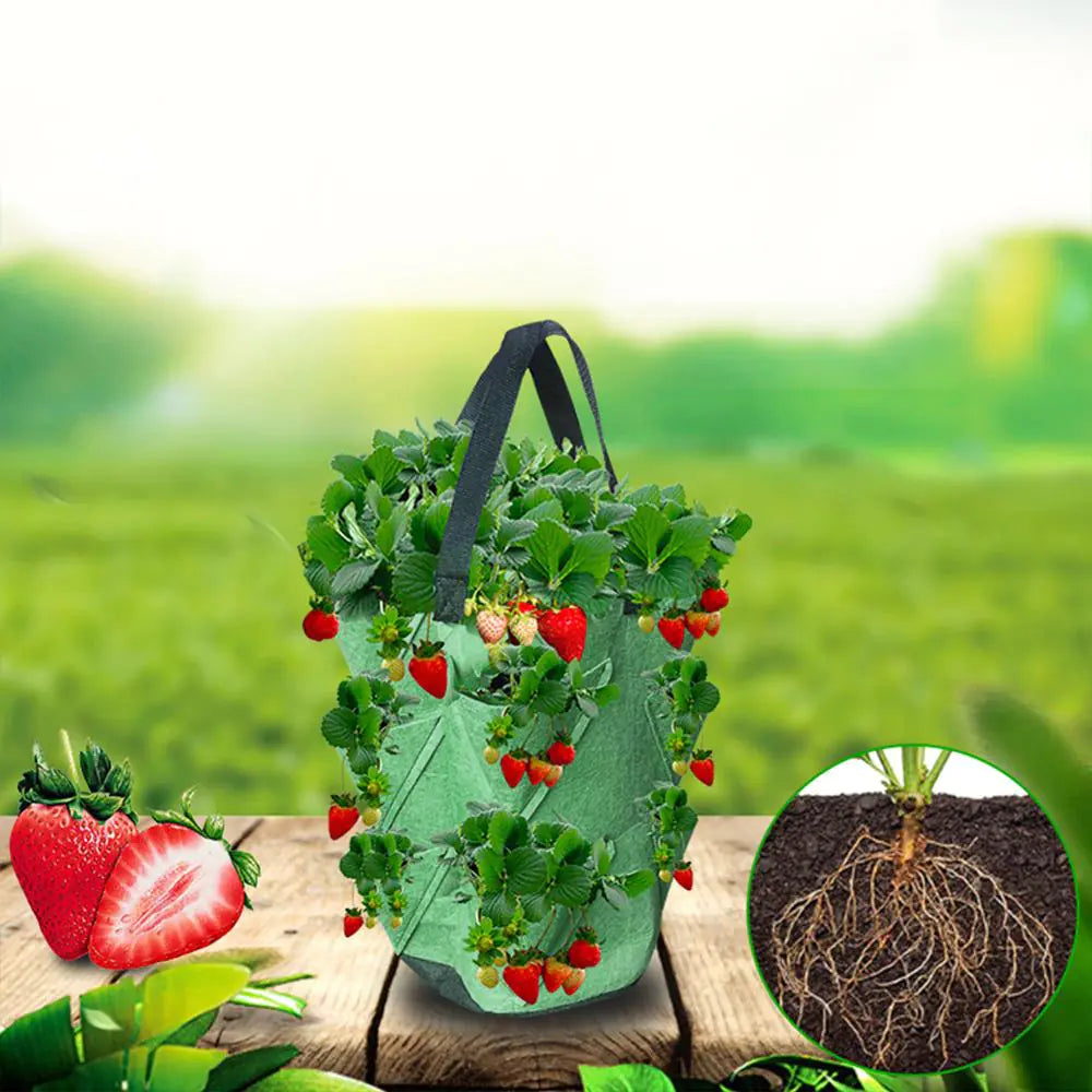 Strawberry Grow Bag Planter for Vegetable Gardens